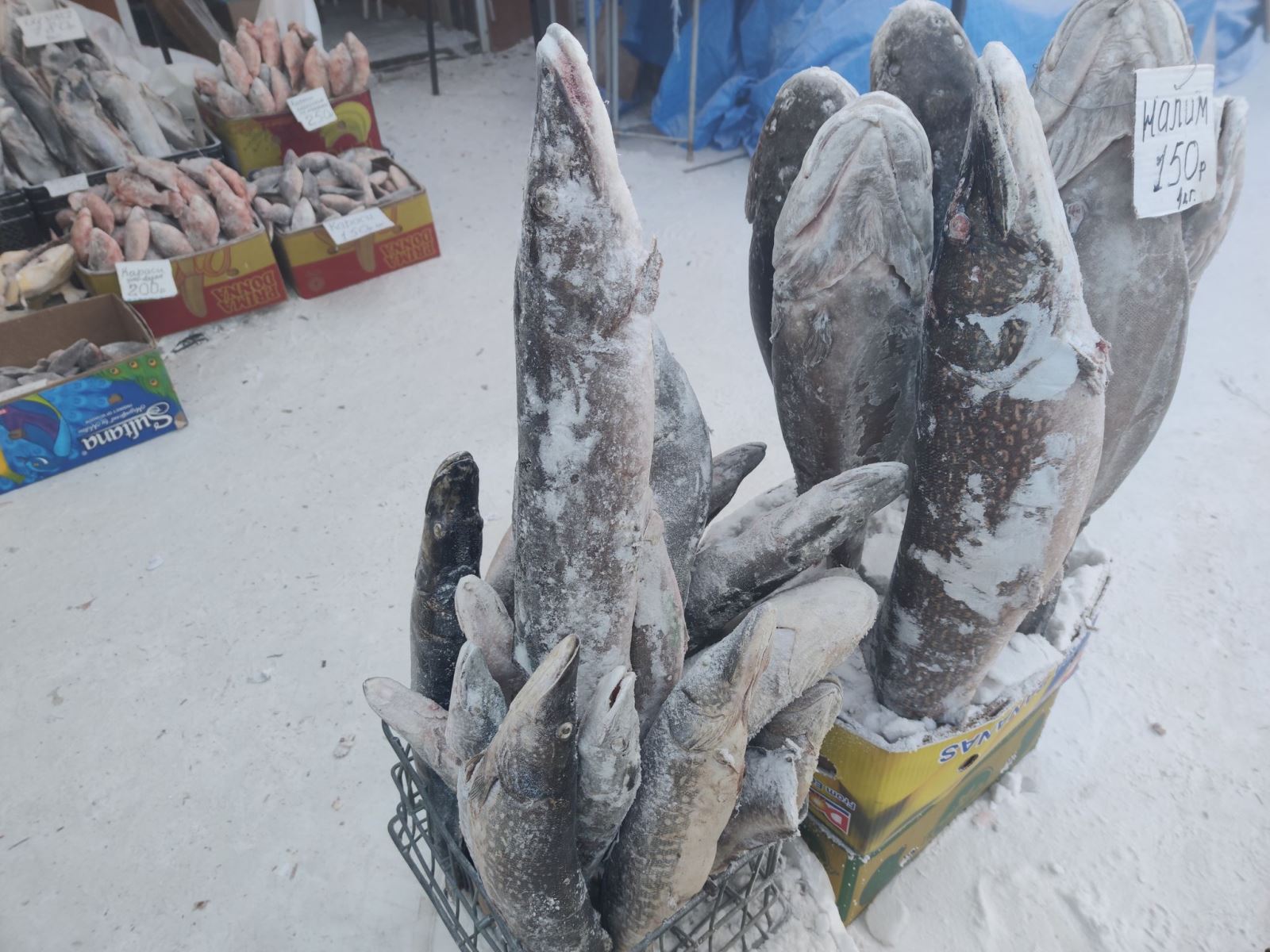 Trải nghiệm ở thành phố lạnh giá nhất nước Nga